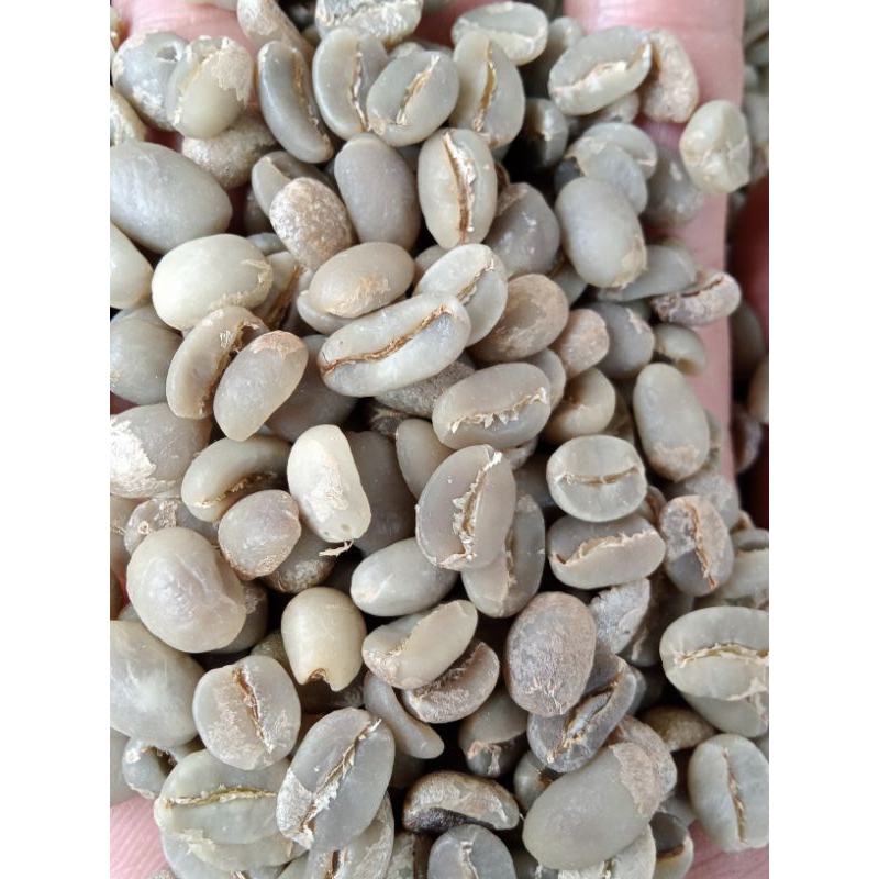 

biji kopi Toraja singel origin/grean Bean toraja Arabika full wash dan natural proses singel origin