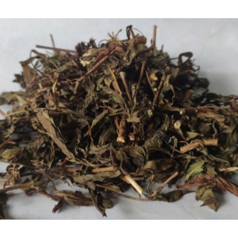 

daun kumis kucing kering kemasan 100gram