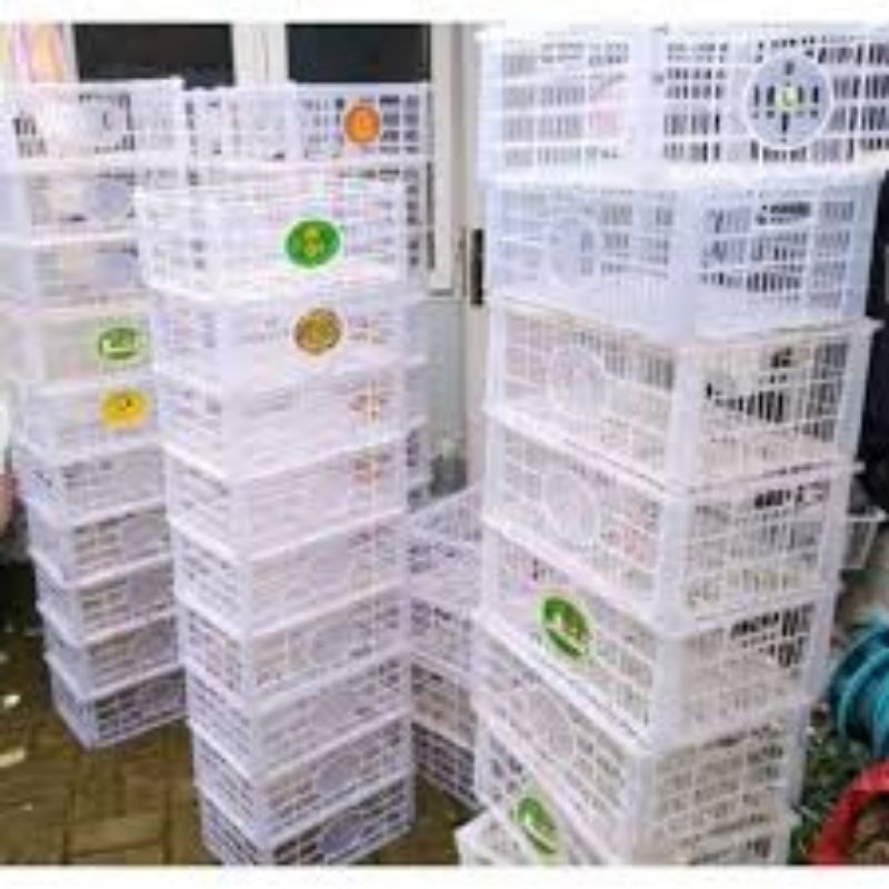 keranjang bekas buah