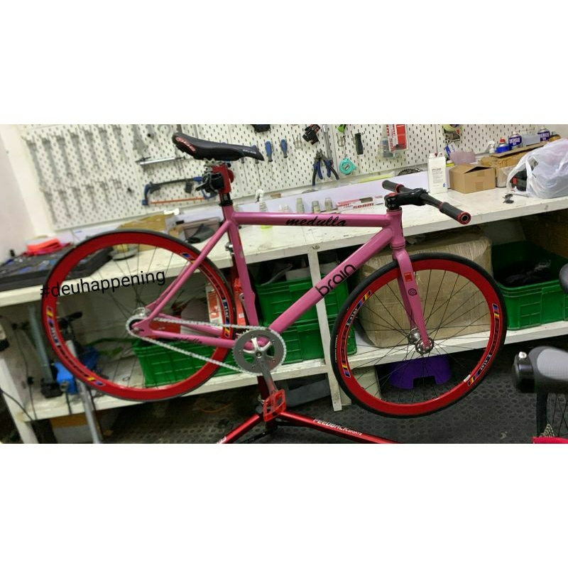 Frameset brain medulla