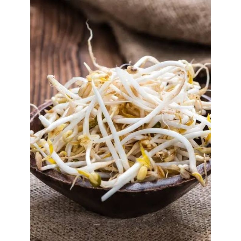 

Tauge / Kecambah Panjang Fresh 100 gram