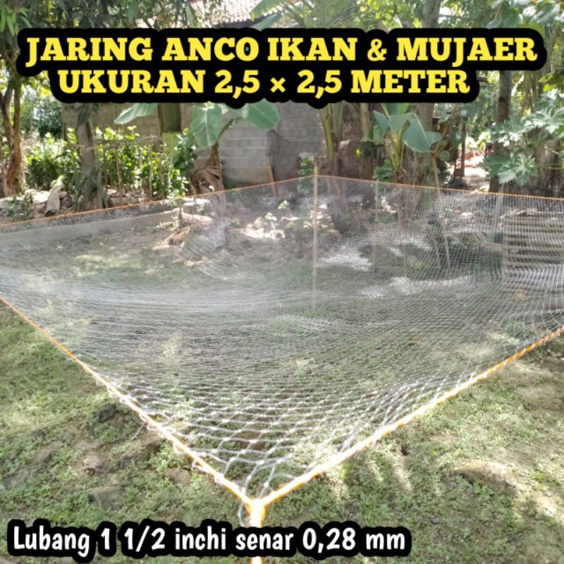 Jaring tangkul ikan alat penangkap ikan tradisional