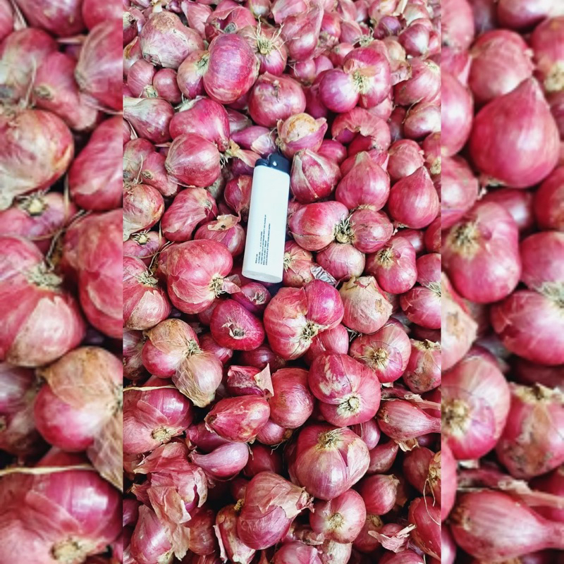 

BAWANG MERAH TERMURAH SEDUNIA DAPAT FREE ONGKIR