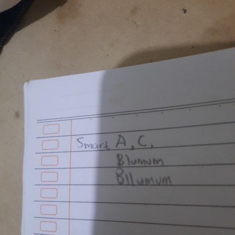 smart B1umum & smart B2umum