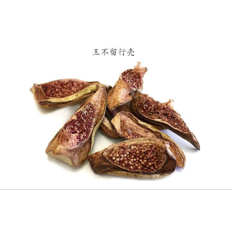 

10 G 50 GR 100 GRAM 王不留行壳 WANG BU LIU XING KE COWHERB SHELL GYPSOPHILA VACCARIA