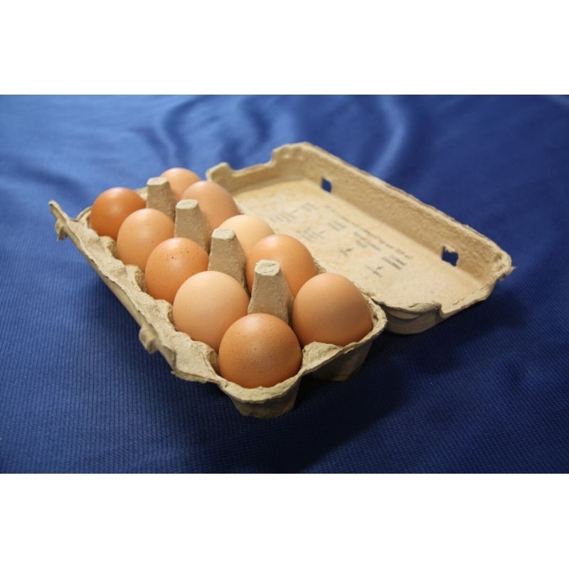 

TELUR AYAM NEGERI PREMIUM 12-30 PCS TELUR OMEGA FRESH BERSIH KUALITAS TERBAIK
