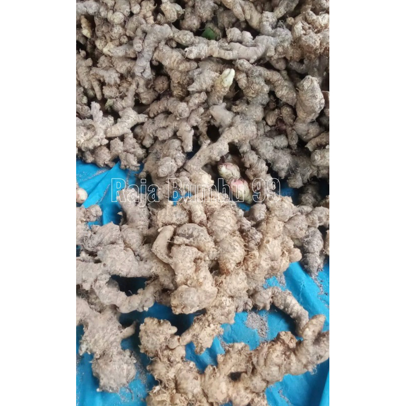 

JAHE TUA LOKAL 500gr dan 250gr