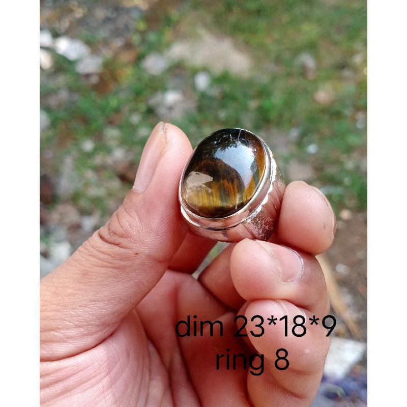 cincin Tiger eye