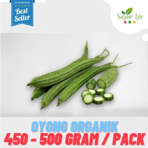 

Oyong Organik 450 - 500 Gram / Pack Fresh Chinese Okra Sayur Hijau Segar