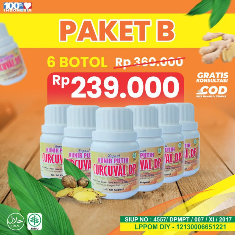 

kunir putih kunyit putih kunir putih obat segala penyakit