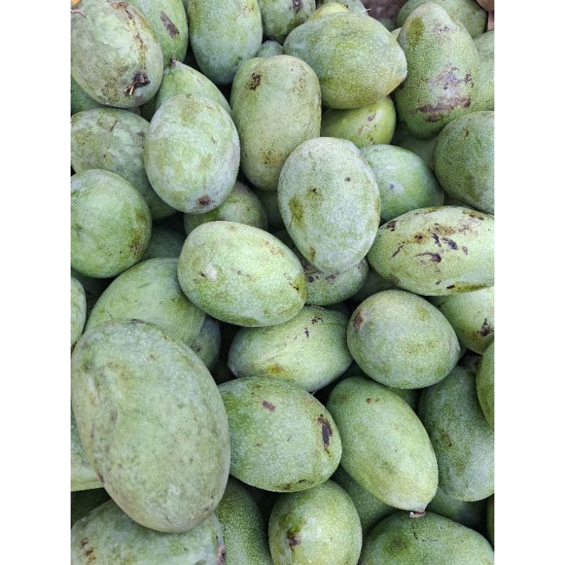 

Mangga Madu 1 Kg