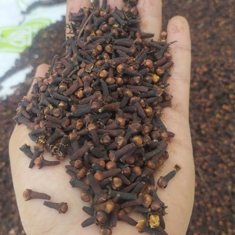 

1 Kg CENGKEH KERING / CLOVE Gunung Kawi Rempah Herbal Aromatherapy/ Aromaterapi TANGAN PERTAMA PETANI AMJ FARM