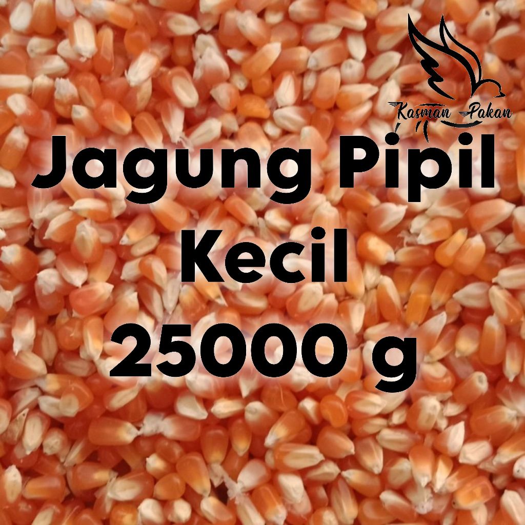Jagung Pipil Kecil Burung Merpati 25 kg
