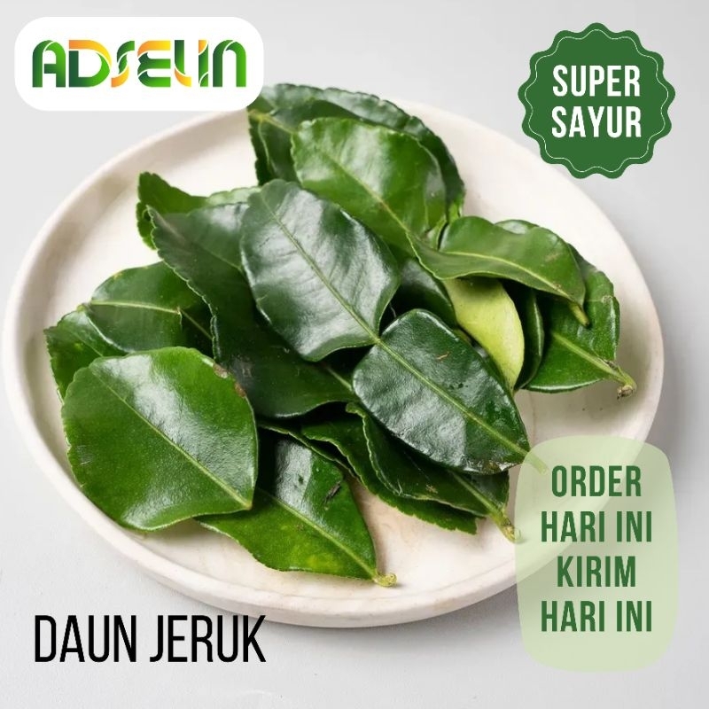 

Daun Jeruk Segar Super Sayur