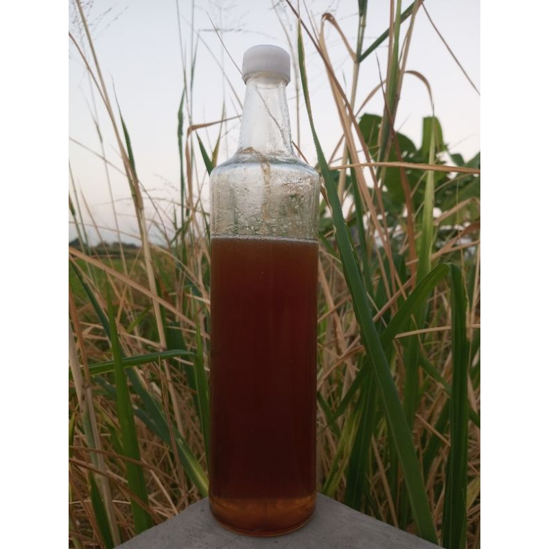 

Madu Hutan asli 500 ml