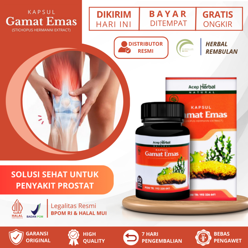 Obat Pengapuran Tulang Lutut, Obat Osteoarthritis, Obat Pengapuran Tulang Lutut dan Sakit Sendi, Oba