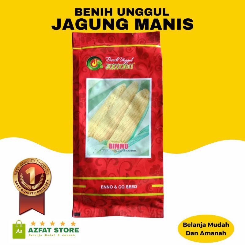 

Benih Jagung Manis Bimmo