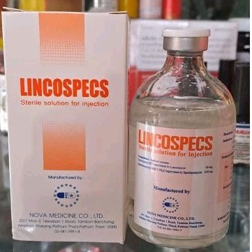 Lincospecs  Original Solusi obat suntik ayam sakit CRD Ngorok Snot Tetelo