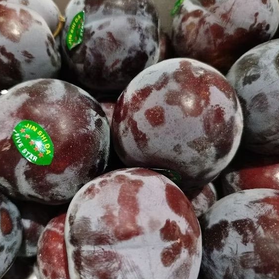 

Buah Plum merah / Plum hitam
