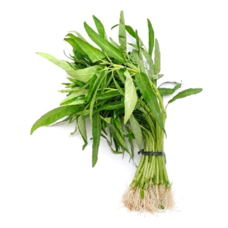 

Sayur Gonda Segar 1 Ikat