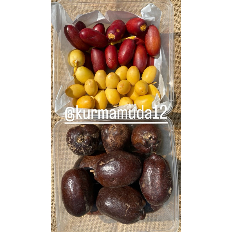 

PAKET KURMA MUDA FRESH DAN BUAH ZURIAT! JENIS KURMA MENYESUAIKAN DENGAN YG SEDANG MUSIM!