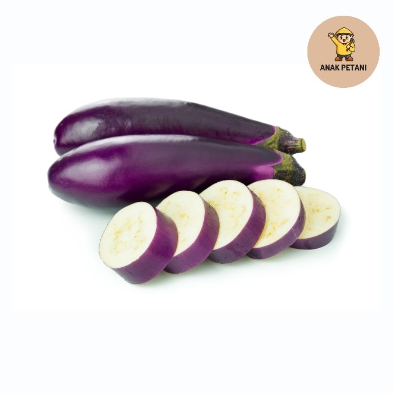 

Terong Ungu 250gr