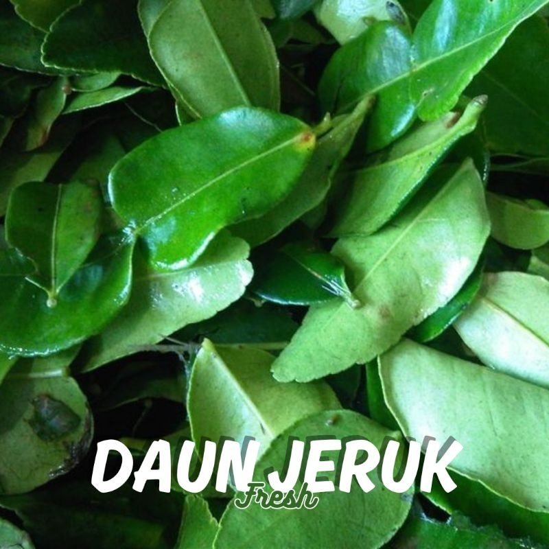 

Daun Jeruk Purut Segar