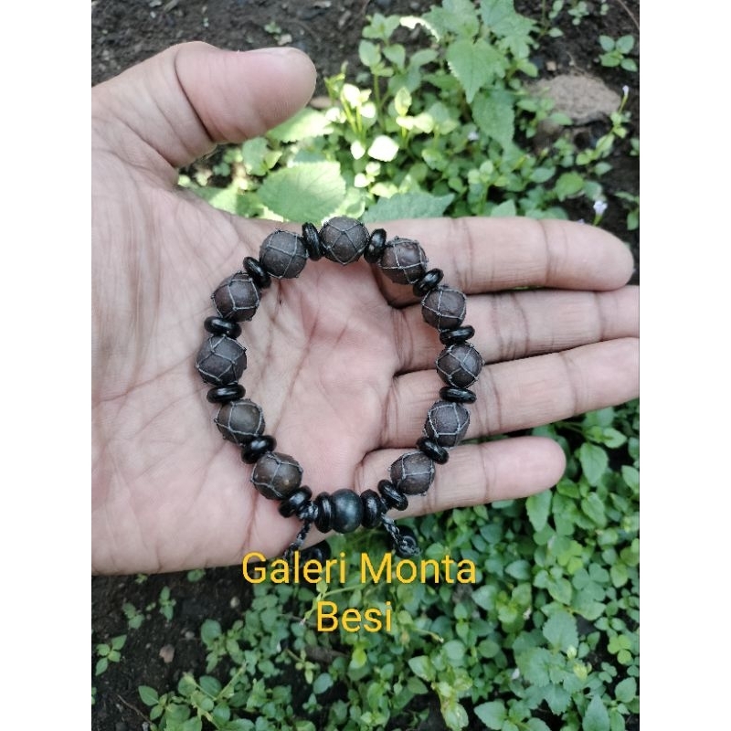 gelang munta/Monta besi daging aktif