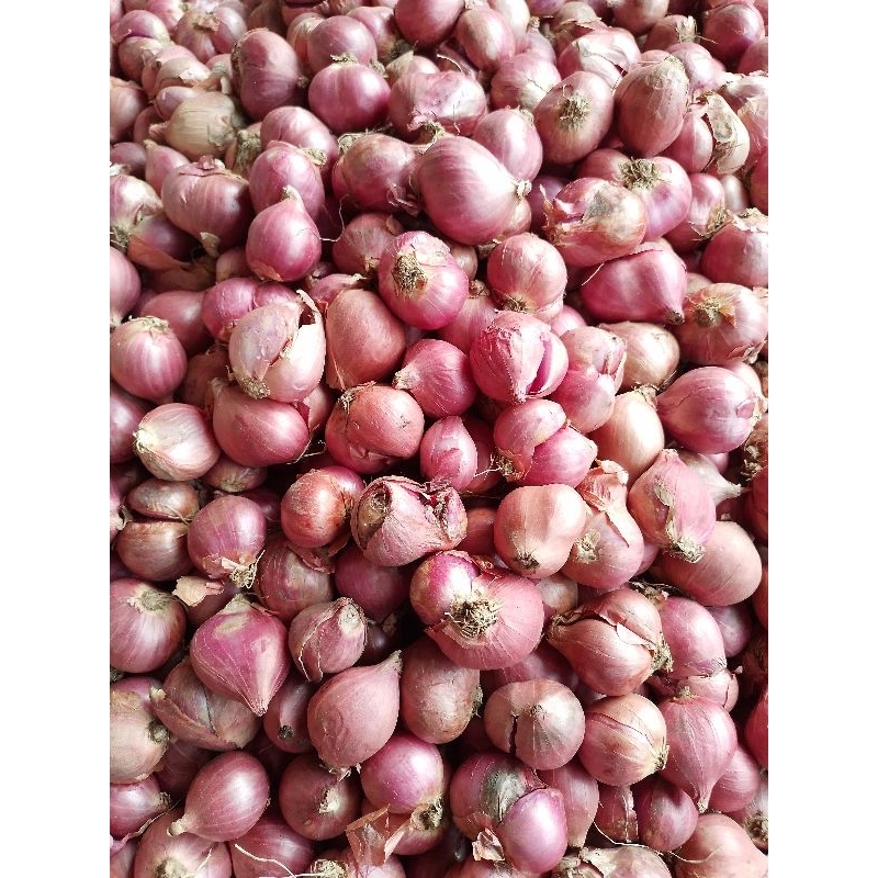 

Bawang Merah Bima Super 1 kg