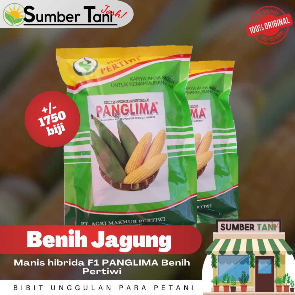 Bibit Benih Jagung Manis Panglima Pertiwi Kemasan 250gr EXP JUNI 2025