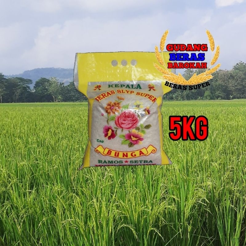 

BERAS CAP BUNGA KEPALA 5KG/10KG/20KG