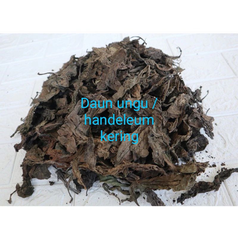 

DAUN UNGU/HANDELEUM KERING(per 100 gram)