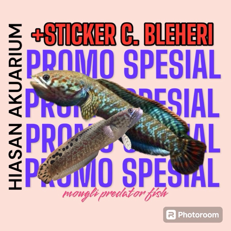 KODE W38K STICKER C BLEHERI RAINBOW KUALITAS