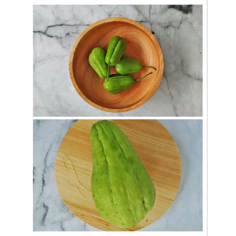 

Labu Siam Besar Jipang Chayote | Labu Siam Acar 250 gr