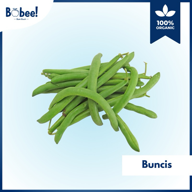 

Buncis Super 250gr Fresh & Premium | Bobee.official - (Instant/Sameday)
