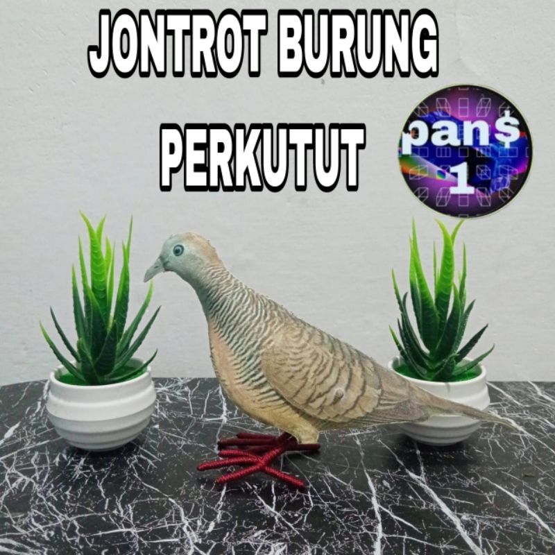 patung jontrot burung perkutut