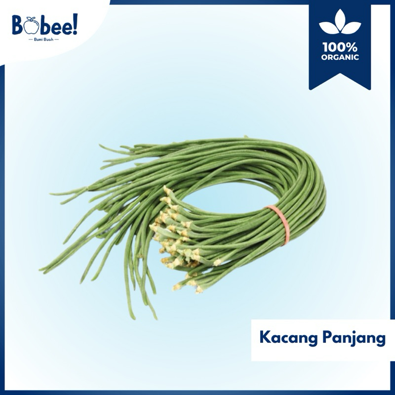 

Kacang Panjang 250gr Fresh & Premium | Bobee.official - (Instant/Sameday)