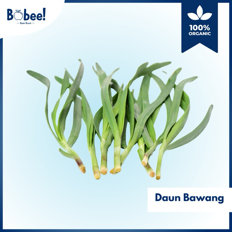 

Daun Bawang 250gr Fresh & Premium | Bobee.official - (Instant/Sameday)