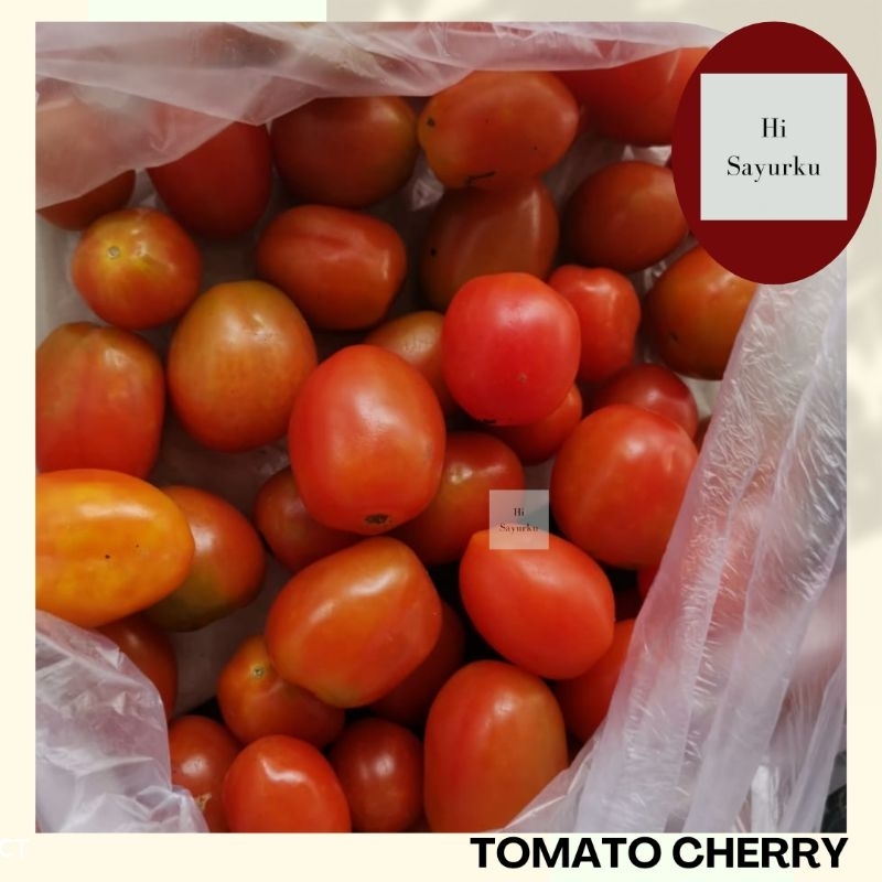 

TOMATO CHERRY FRESH / TOMAT CHERRY SEGAR