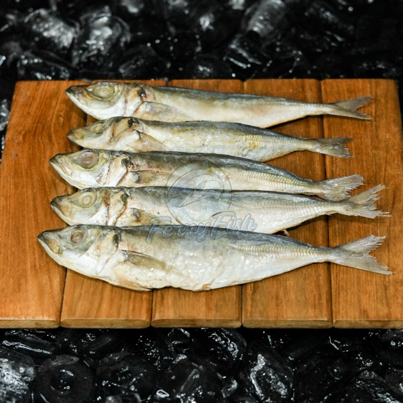 

Ikan Asin Peda / Ikan Peda Asin
