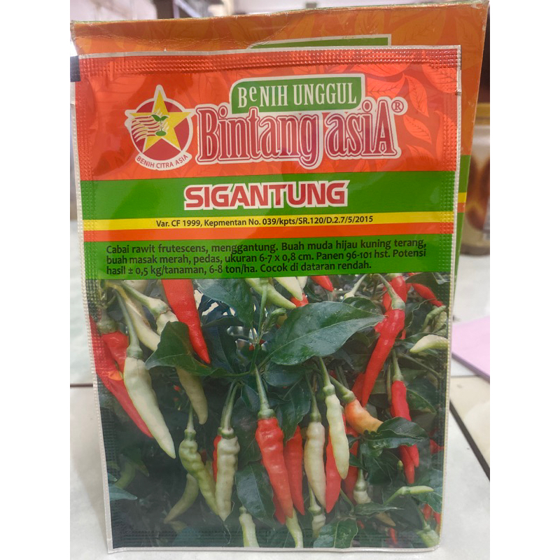 benih Cabai rawit SIGANTUNG