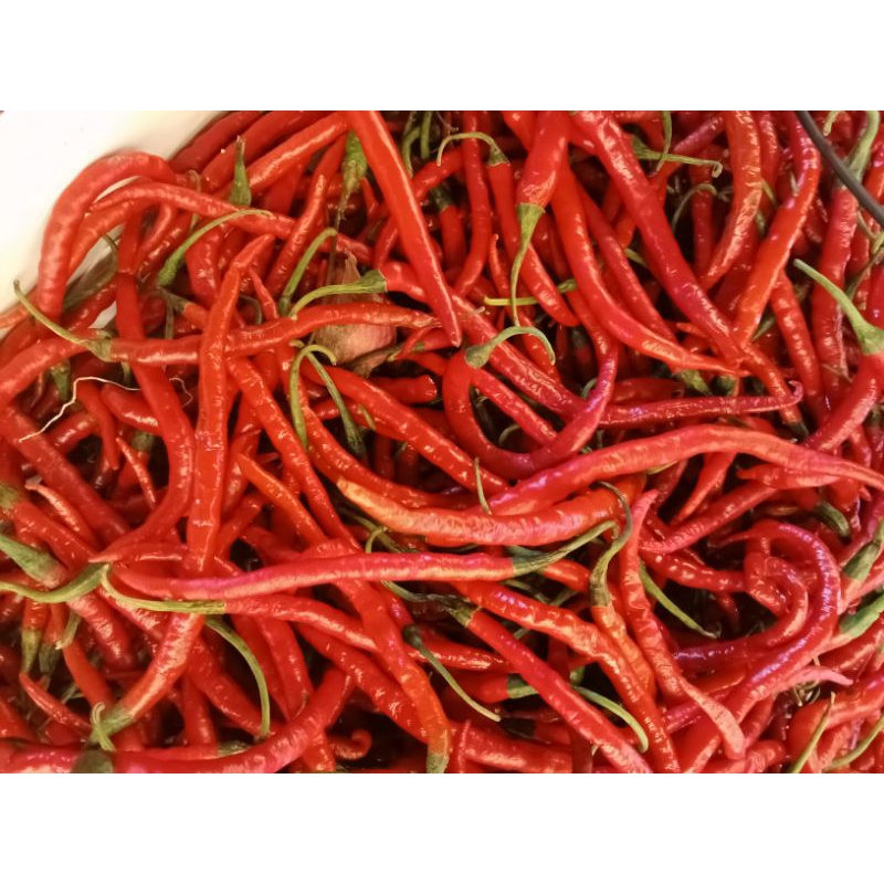 

cabe merah keriting 250grm