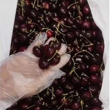 

Buah Cherry Tasmania super jumbo 34++ 2 kg