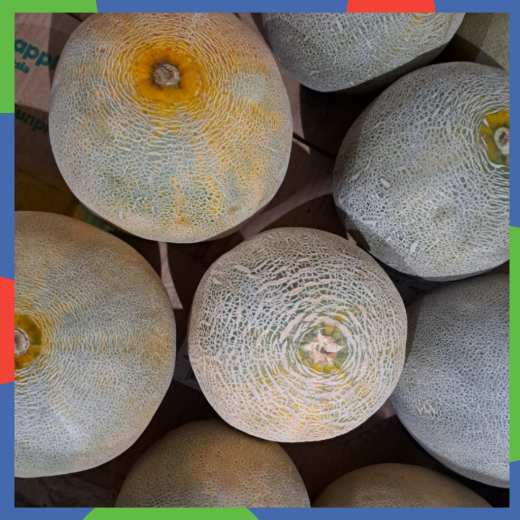 

Melon Lokal Super Berat 2-3 kg - PCS