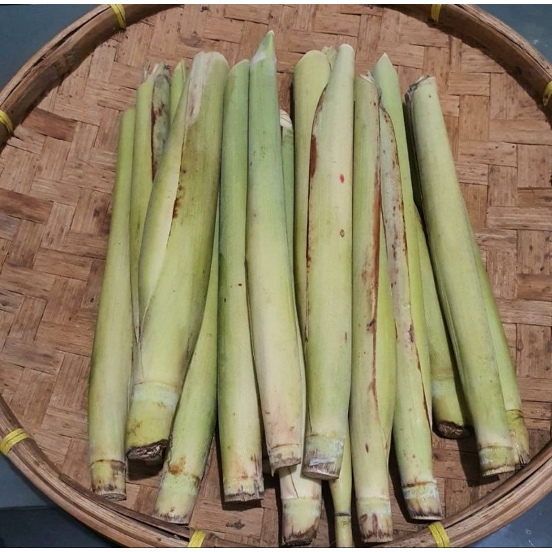 

tebu telur segar original perikat