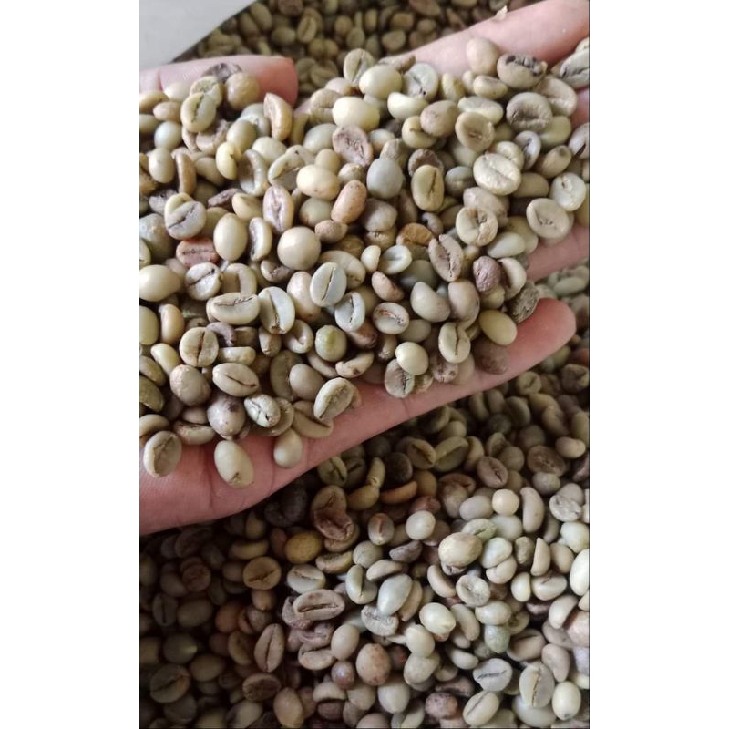 

biji kopi robusta