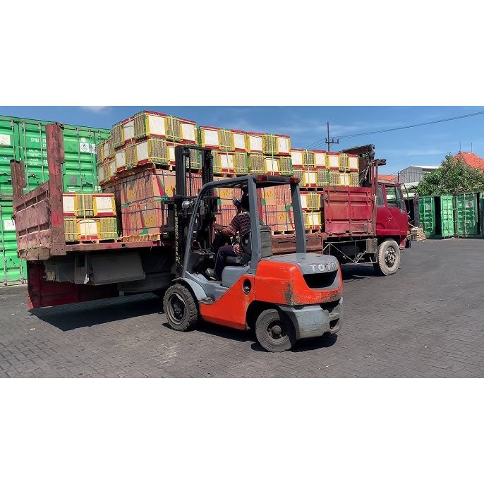 JASA FORWARDER IMPORT EROPA