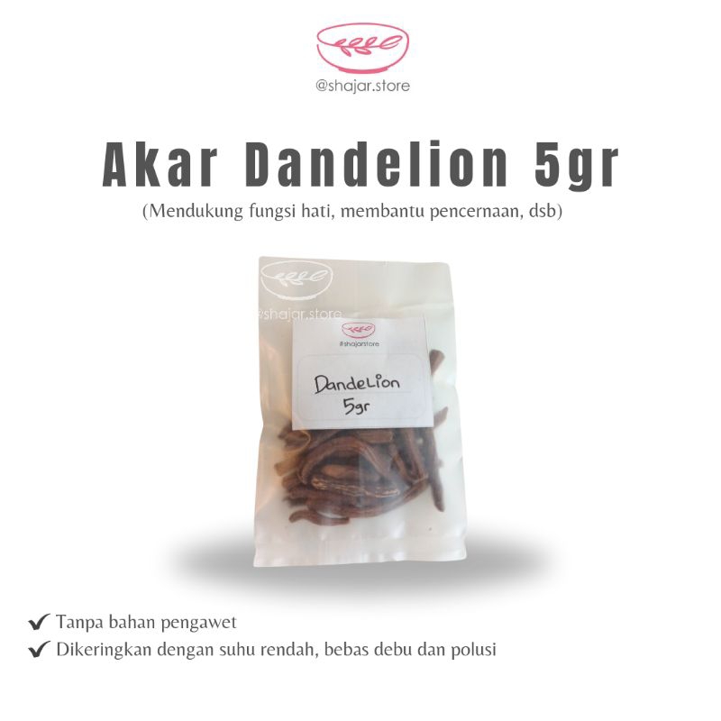 

Akar Dandelion root 5gr//resep jsr