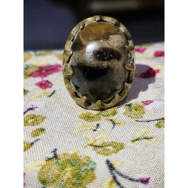 Batu Akik F*sil Kelor Lawas Asli Batu Alam by bertuah Gemstone