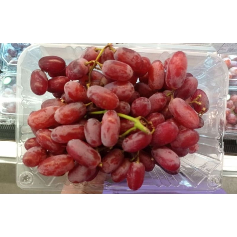 

Buah Anggur Crismon Panjang Seperti Jari 1 Kg